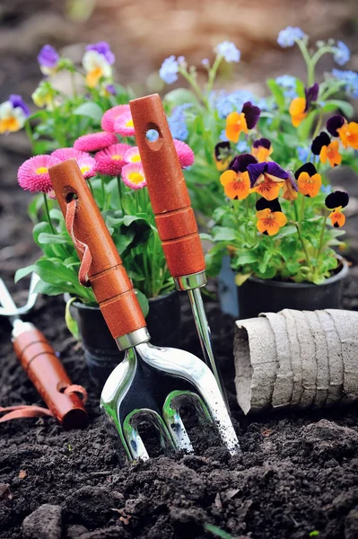 Herramientas de jardinería y flores de primavera en el jardín —  Fotos de Stock