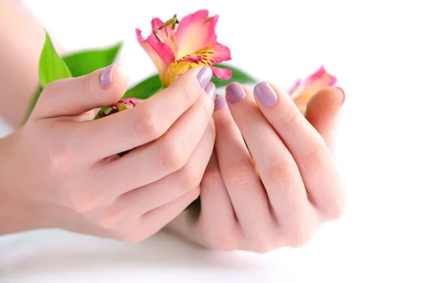 Manos de una mujer con manicura rosa en las uñas y flores alstroemeria sobre un fondo blanco — Foto de Stock