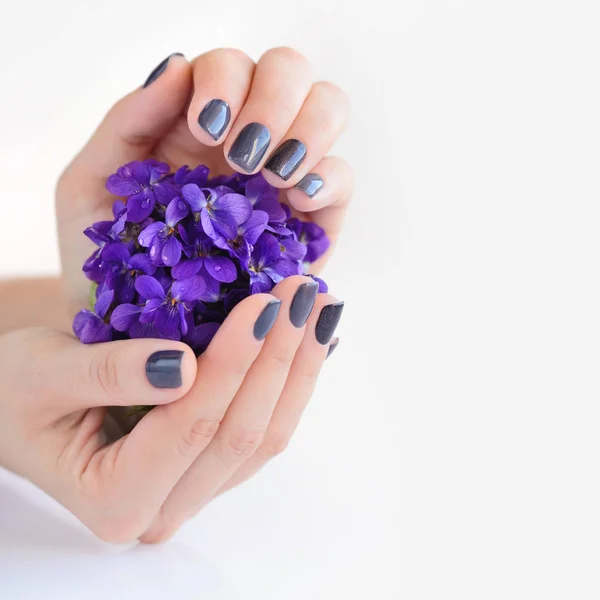 Hands of a woman with dark manicure on nails and bouquet of violets on a white background