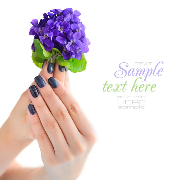 Mani di una donna con manicure scura su unghie e mazzo di viole su sfondo bianco — Foto Stock