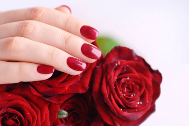 Kırmızı manikür olan bir kadın elinde bir buket kırmızı gül. Yakın çekim