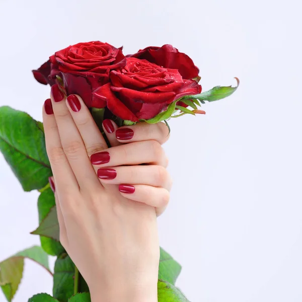Mains d'une femme à la manucure rouge foncé avec un bouquet de roses rouges — Photo