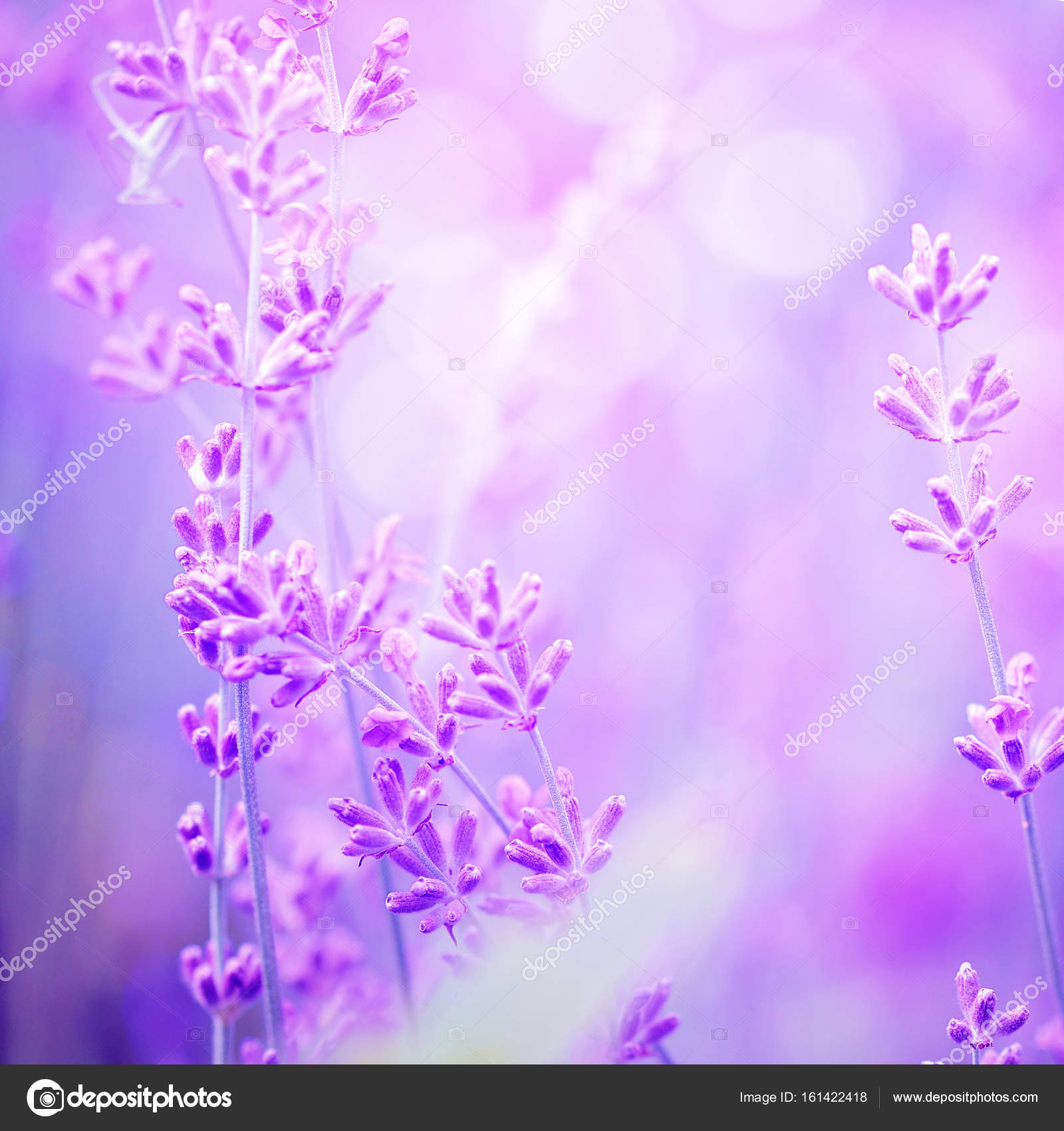 Guud, image size:1600x1700