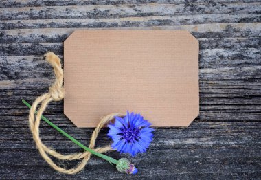 Ahşap masa üzerinde taze Peygamber (Centaurea cyanus) ile kağıt etiket. Üstten Görünüm.