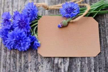 Kağıt etiket ahşap masa üzerinde taze Peygamber (Centaurea cyanus) ile
