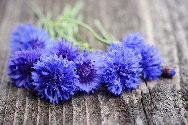 Eski bir ahşap masaya peygamberçiçeği mavi çiçek (Centaurea cyanus)
