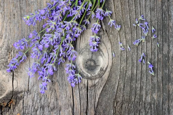 Flores de lavanda (Lavandula) em um fundo de madeira velho — Fotografia de Stock