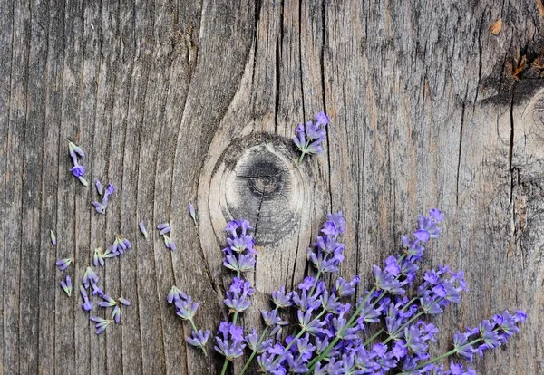 Flores de lavanda (Lavandula) em um fundo de madeira velho — Fotografia de Stock