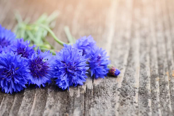 Flores azules aciano (Centaurea cyanus) en una vieja tabla de madera —  Fotos de Stock