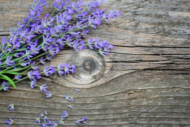 Lavanta çiçekleri (Lavandula) eski bir ahşap zemin üzerine