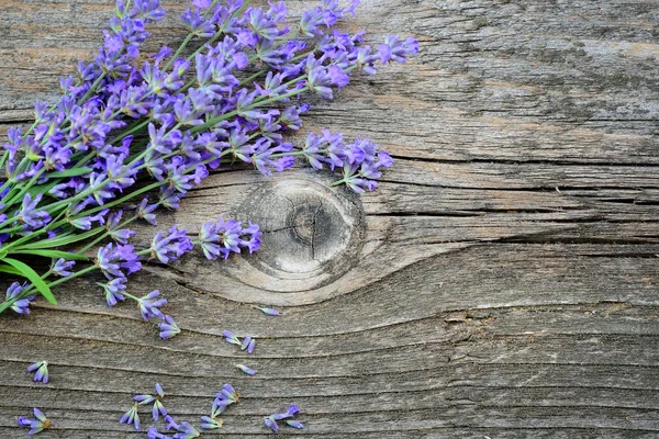 Lavanta çiçekleri (Lavandula) eski bir ahşap zemin üzerine