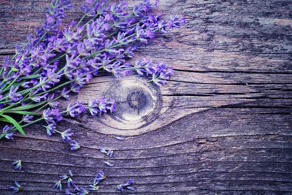 Flores de lavanda (Lavandula) em um fundo de madeira velho. Foto de arte em tom roxo . — Fotografia de Stock