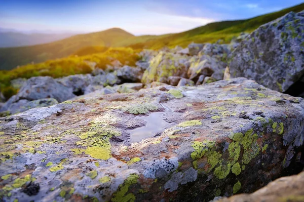 Pedra com líquenes coloridos e água nos raios da manhã nas montanhas — Fotografia de Stock