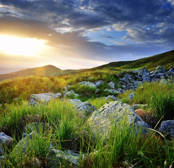 Beautiful summer landscape in the mountains. Sunrise. Carpathian, Ukraine. — Stock Photo, Image