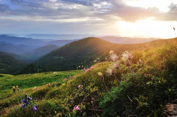 Pôr-do-sol mágico na paisagem das montanhas. Céu dramático. Cárpatos, Ucrânia, Europa . — Fotografia de Stock