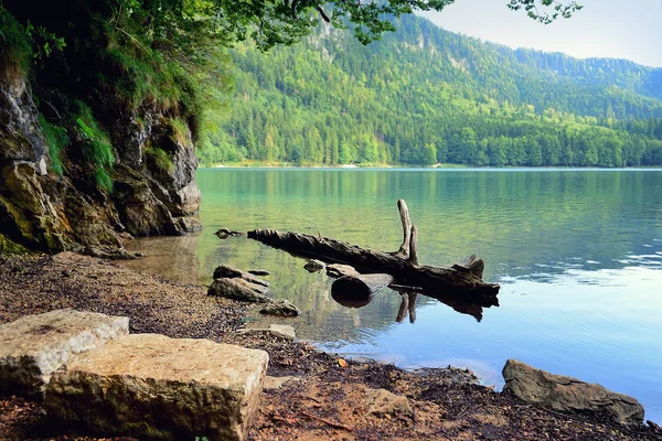Paesaggio estivo idilliaco con lago di montagna nelle Alpi — Foto Stock
