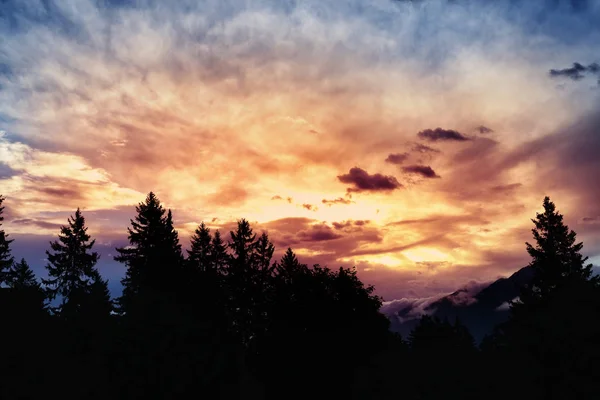 Fantastico tramonto sulla foresta e sulle montagne — Foto Stock