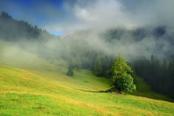 Όμορφο καλοκαιρινό ορεινό τοπίο των Άλπεων. Ηλιόλουστο πρωί — Φωτογραφία Αρχείου