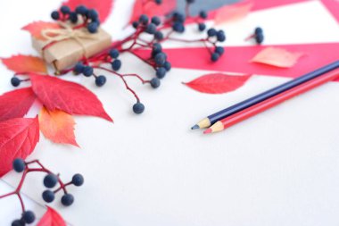 Kalem, kağıt ve sonbahar yaprakları yaprak ile sonbahar arka plan. Senin metin için yer.