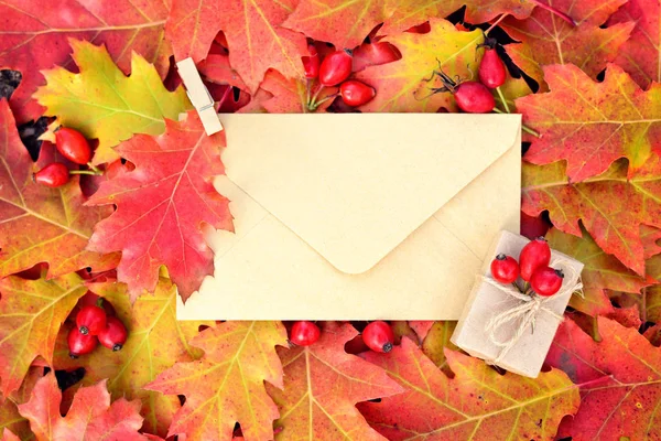 Fondo colorido de otoño con sobres y hojas de roble. Vista superior —  Fotos de Stock