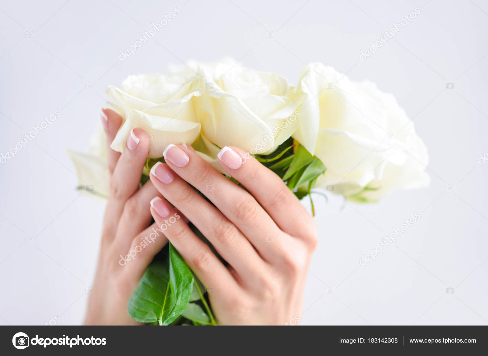 美しい女性の手のフランス語マニキュアと白バラの花束 ストック写真 C Nataliiamelnyc