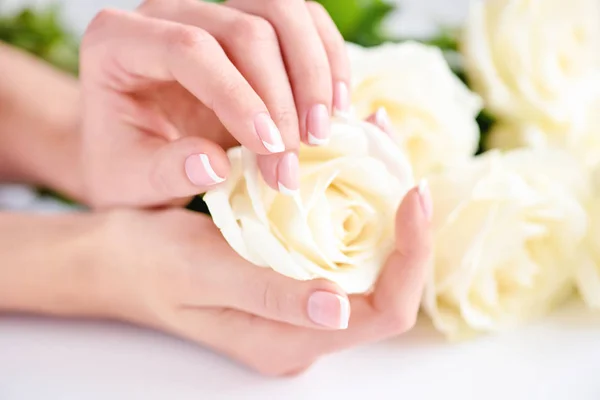 Ruce ženy s krásnou francouzskou manikúrou a bílými růžemi — Stock fotografie