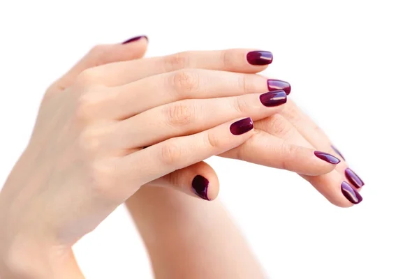 Primer plano de las manos de una joven con manicura de color rojo oscuro en las uñas sobre fondo blanco —  Fotos de Stock
