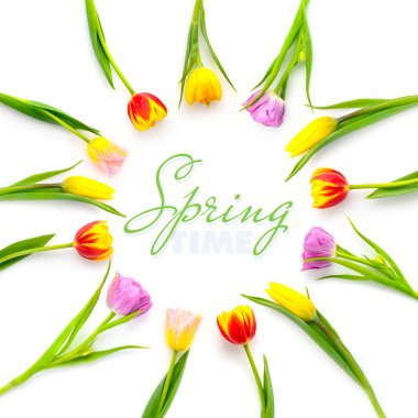 Boş alan içeren beyaz bir arka plan üzerinde renkli Lale çemberi