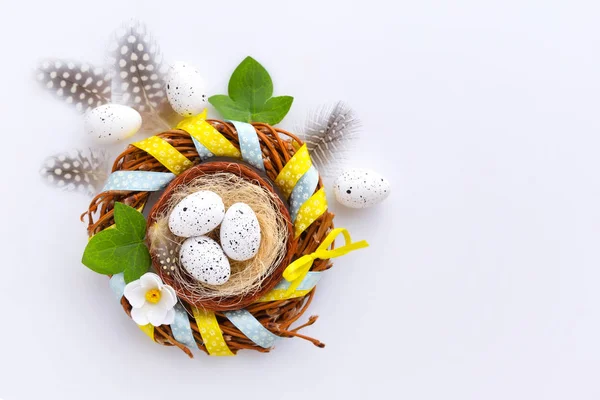 Easter eggs in the nest on a white background with empty space. — Stock Photo, Image