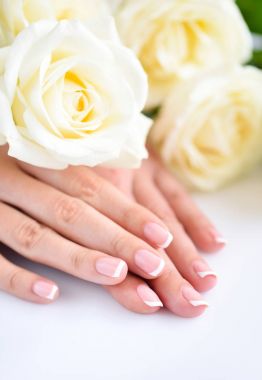 Güzel Fransız manikürü ve beyaz gülleri olan bir kadının elleri.