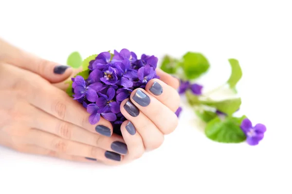 Las manos de una mujer con manicura oscura en las uñas y ramo de violetas sobre un fondo blanco — Foto de Stock