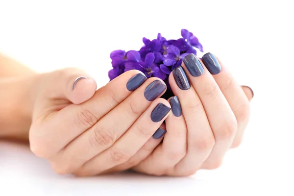 Las manos de una mujer con manicura oscura en las uñas y ramo de violetas sobre un fondo blanco — Foto de Stock