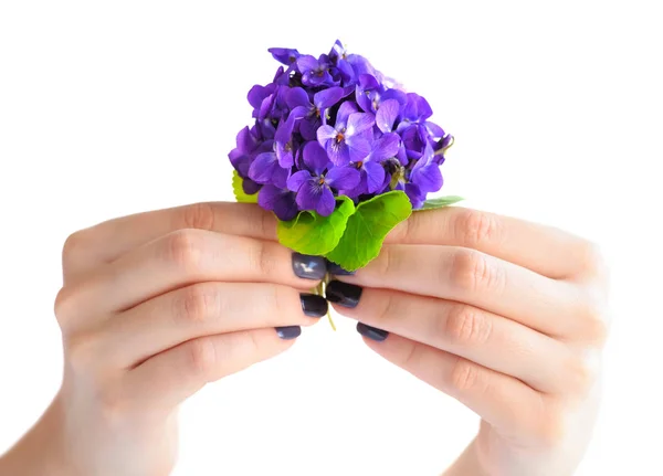 Las manos de una mujer con manicura oscura en las uñas y ramo de violetas sobre un fondo blanco —  Fotos de Stock