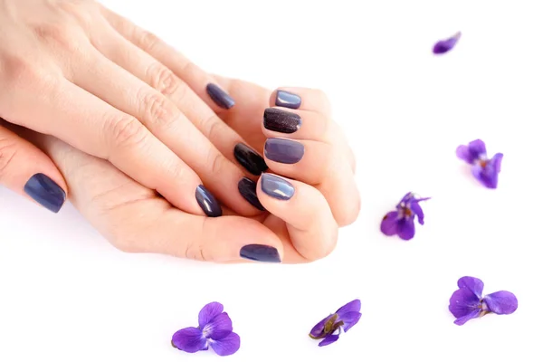 Las manos de una mujer con manicura oscura en las uñas y flores violetas sobre un fondo blanco —  Fotos de Stock