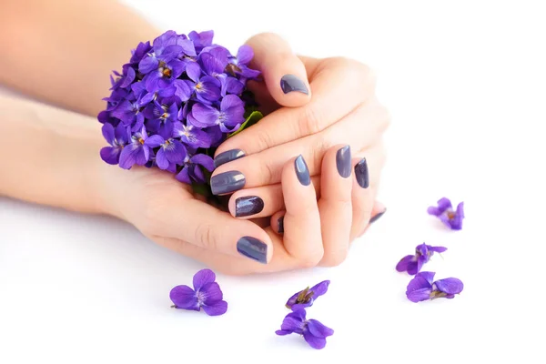Mãos de uma mulher com manicure escuro em pregos e buquê de violetas em um fundo branco — Fotografia de Stock