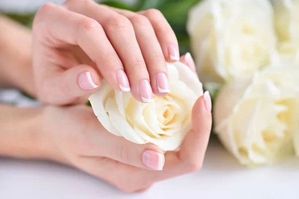Mains d'une femme avec une belle manucure française et des roses blanches — Photo