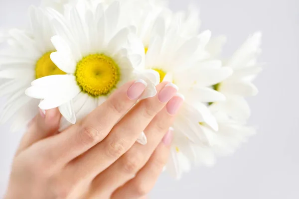 Όμορφη γυναίκα γαλλικά περιποιημένα χέρια με φρέσκα λουλούδια μαργαρίτα — Φωτογραφία Αρχείου