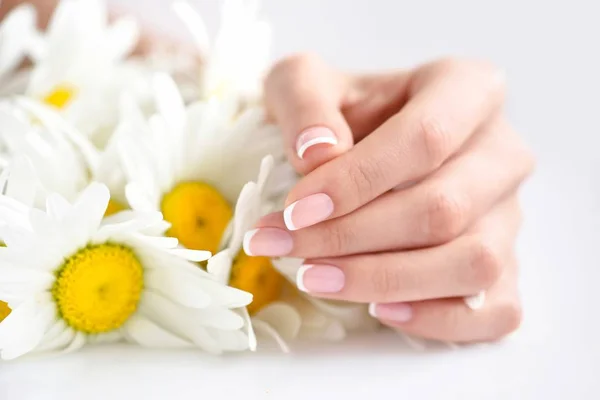 Mãos de uma mulher com belas flores de manicure francês e margarida branca — Fotografia de Stock