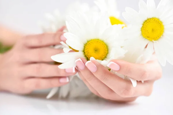 Vacker kvinna franska manikyrerade händer med färska tusensköna blommor — Stockfoto