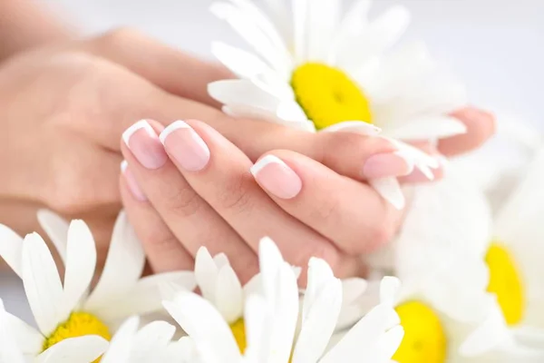 Bela mulher francês mãos bem cuidadas com flores frescas da margarida — Fotografia de Stock