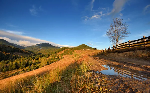 Fantastiskt bergslandskap med färgglada träd och örter. — Stockfoto