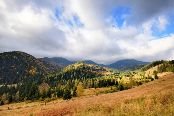 Incredibile paesaggio montano con alberi colorati ed erbe aromatiche . — Foto Stock