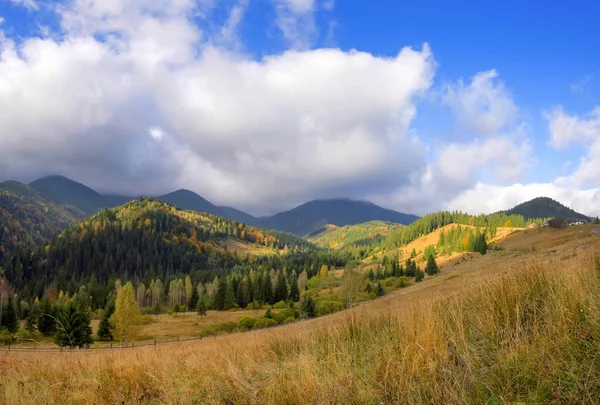 Incroyable paysage de montagne avec des arbres colorés et des herbes . — Photo