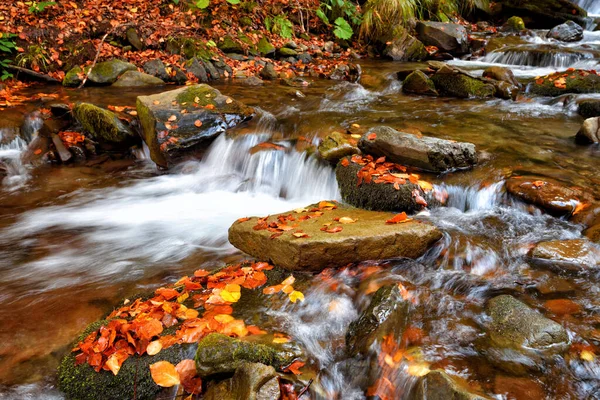 Hermoso paisaje con una cascada en el bosque de otoño — Foto de Stock