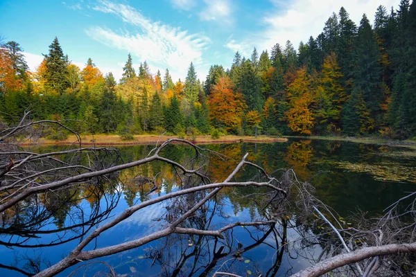 Fantastisk landskab med en sø i efteråret skov - Stock-foto