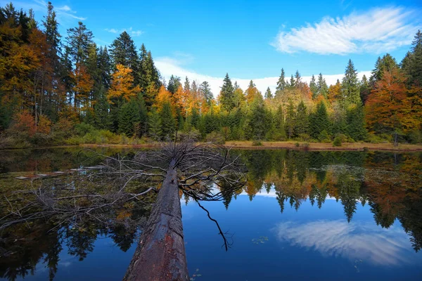 Paisagem incrível com um lago na floresta de outono — Fotografia de Stock