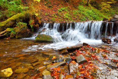 Sonbahar ormanında şelalesi olan güzel bir manzara.