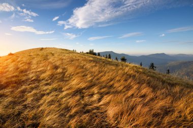 Dağlarda gün batımı. Parlak otlarla dolu sonbahar akşamı manzarası