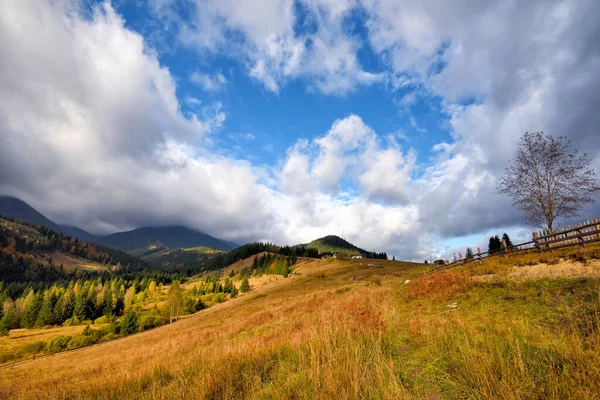 Fantastiskt bergslandskap med färgglada träd och örter. — Stockfoto