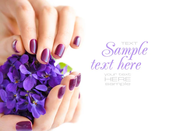 Ręce kobiety z ciemnym manicure na paznokciach i bukiet viol — Zdjęcie stockowe